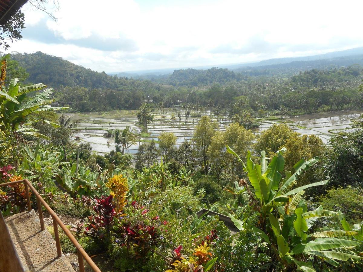 Villa Dukuh Selat Exteriér fotografie