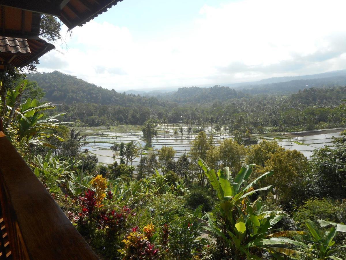 Villa Dukuh Selat Exteriér fotografie