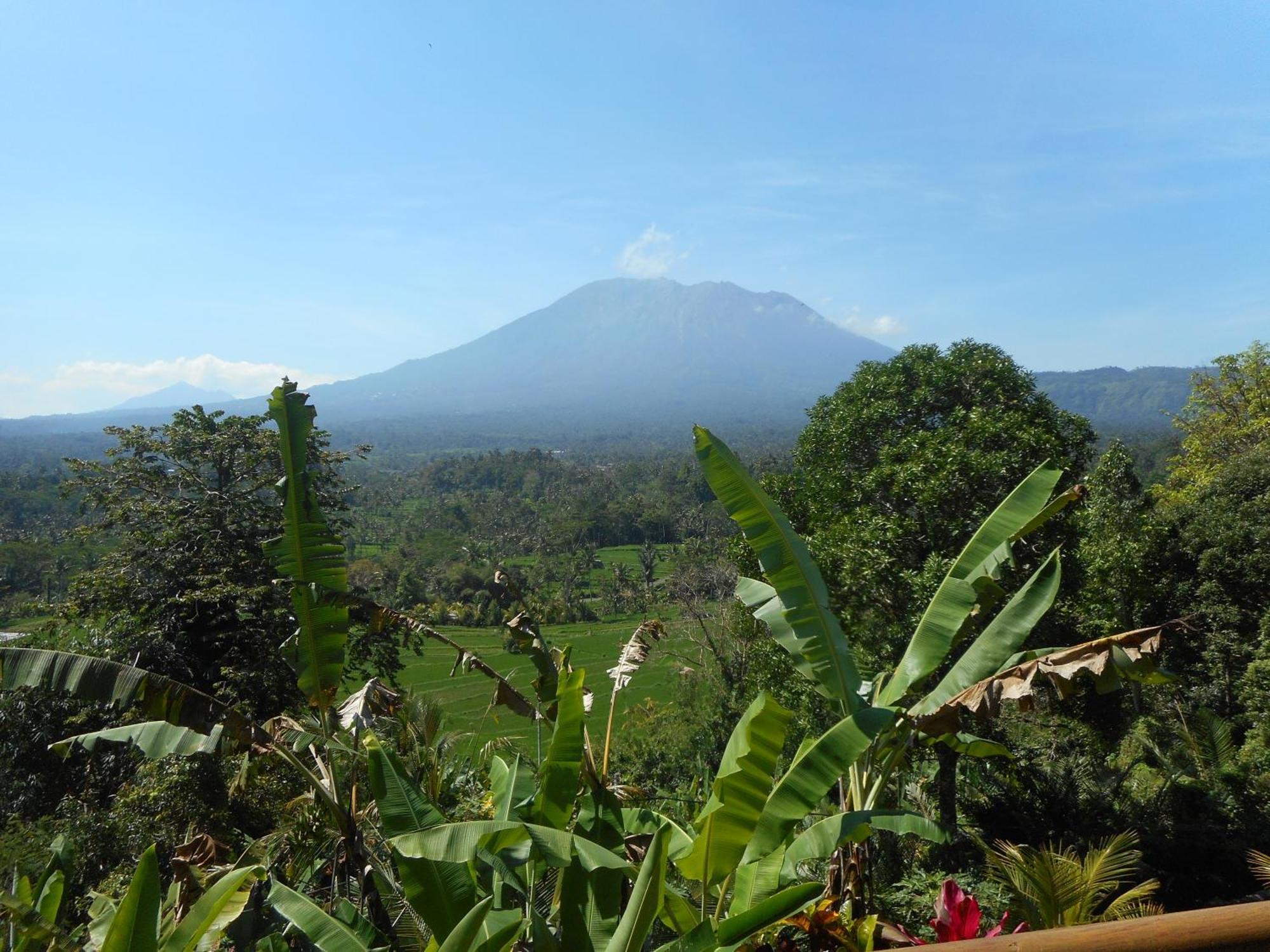 Villa Dukuh Selat Exteriér fotografie