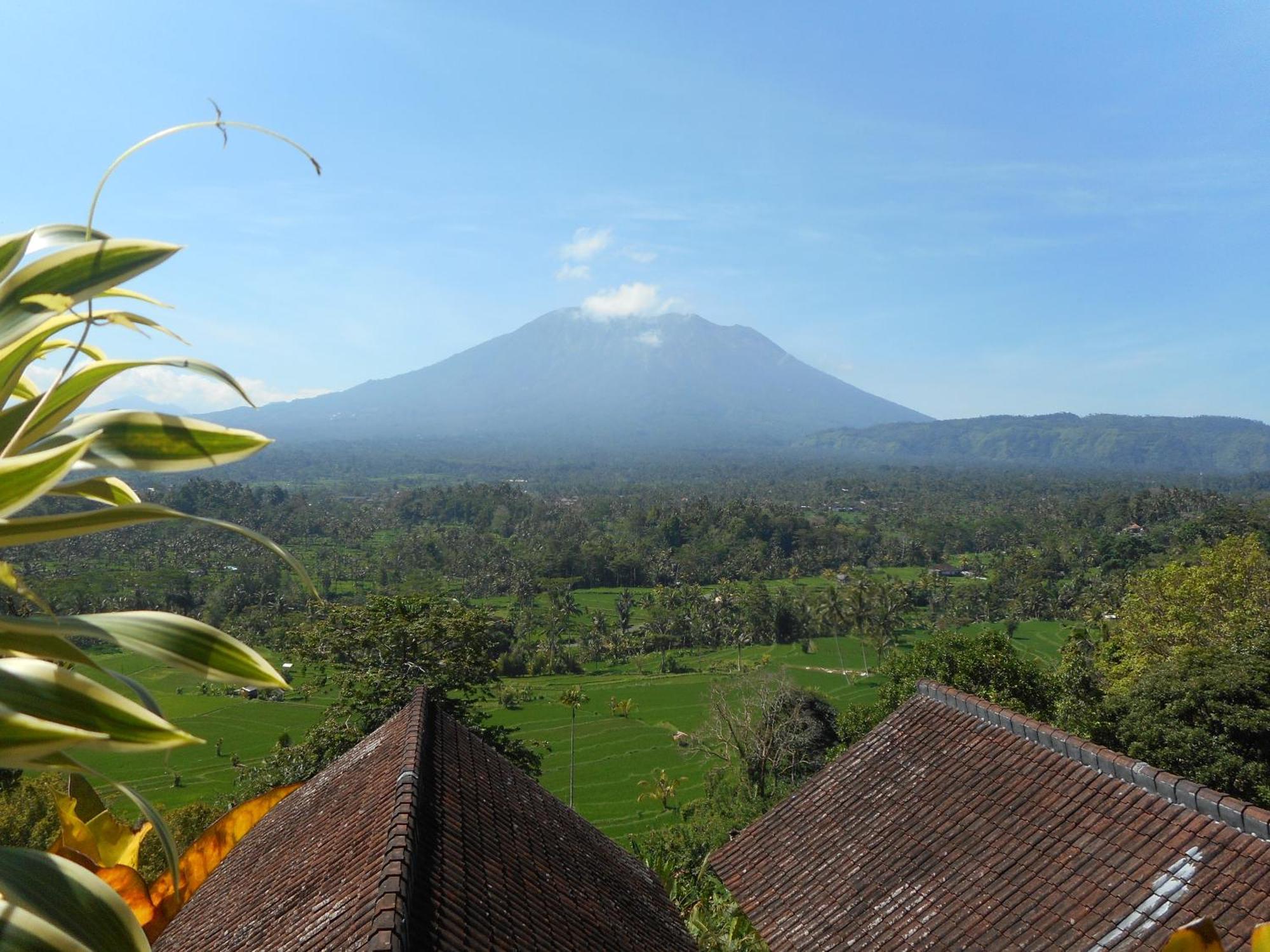 Villa Dukuh Selat Exteriér fotografie