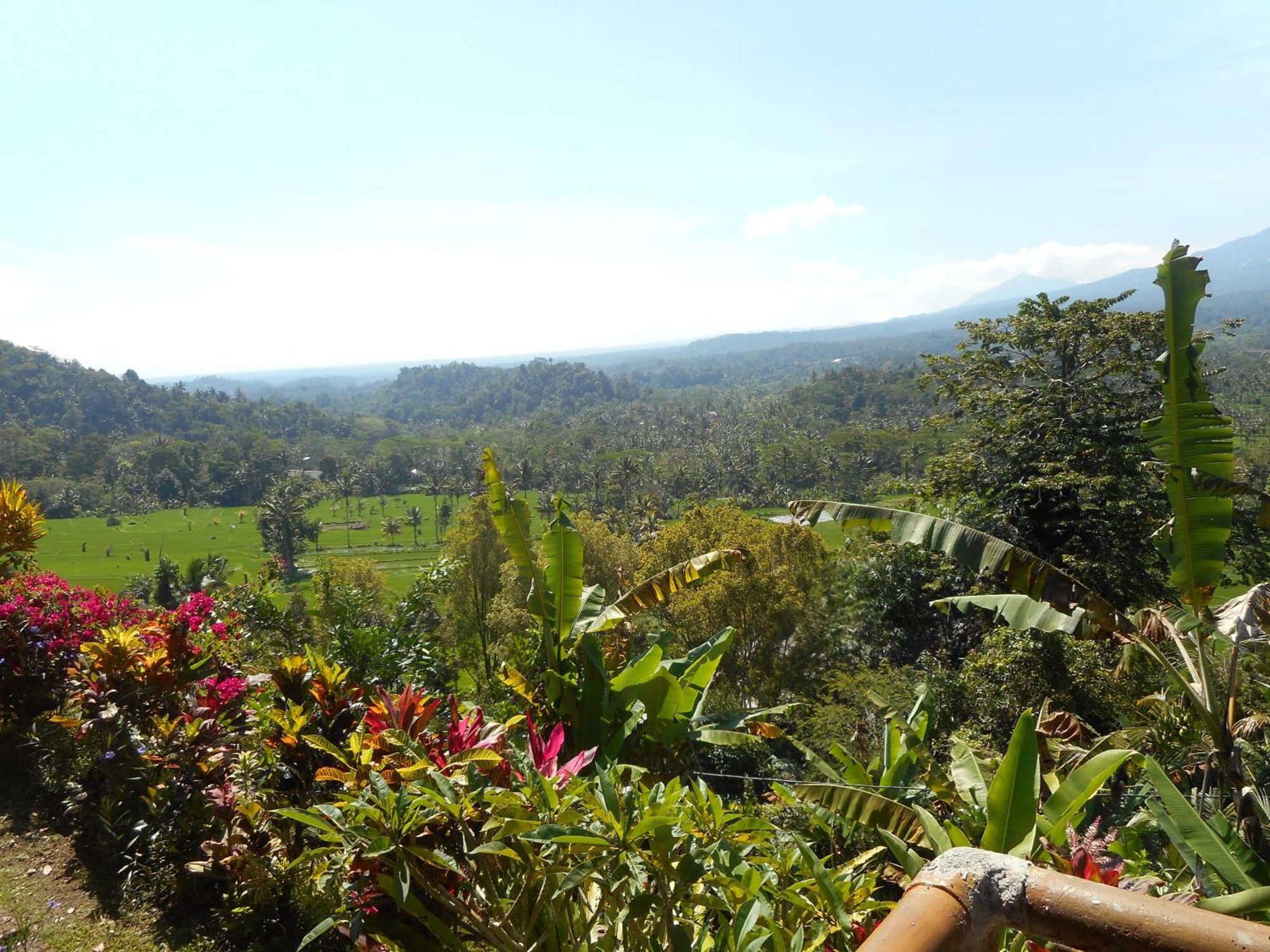 Villa Dukuh Selat Exteriér fotografie