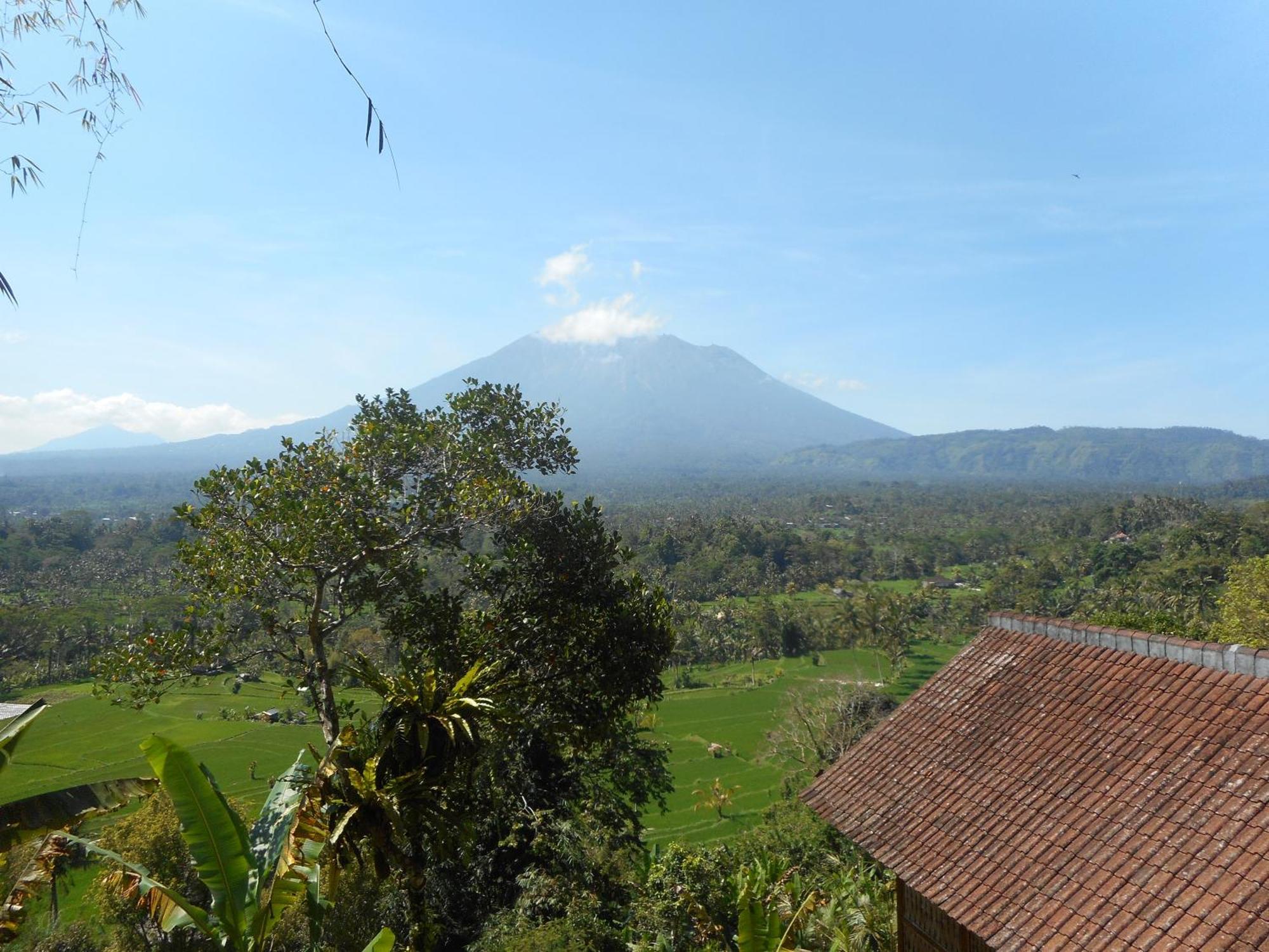 Villa Dukuh Selat Exteriér fotografie