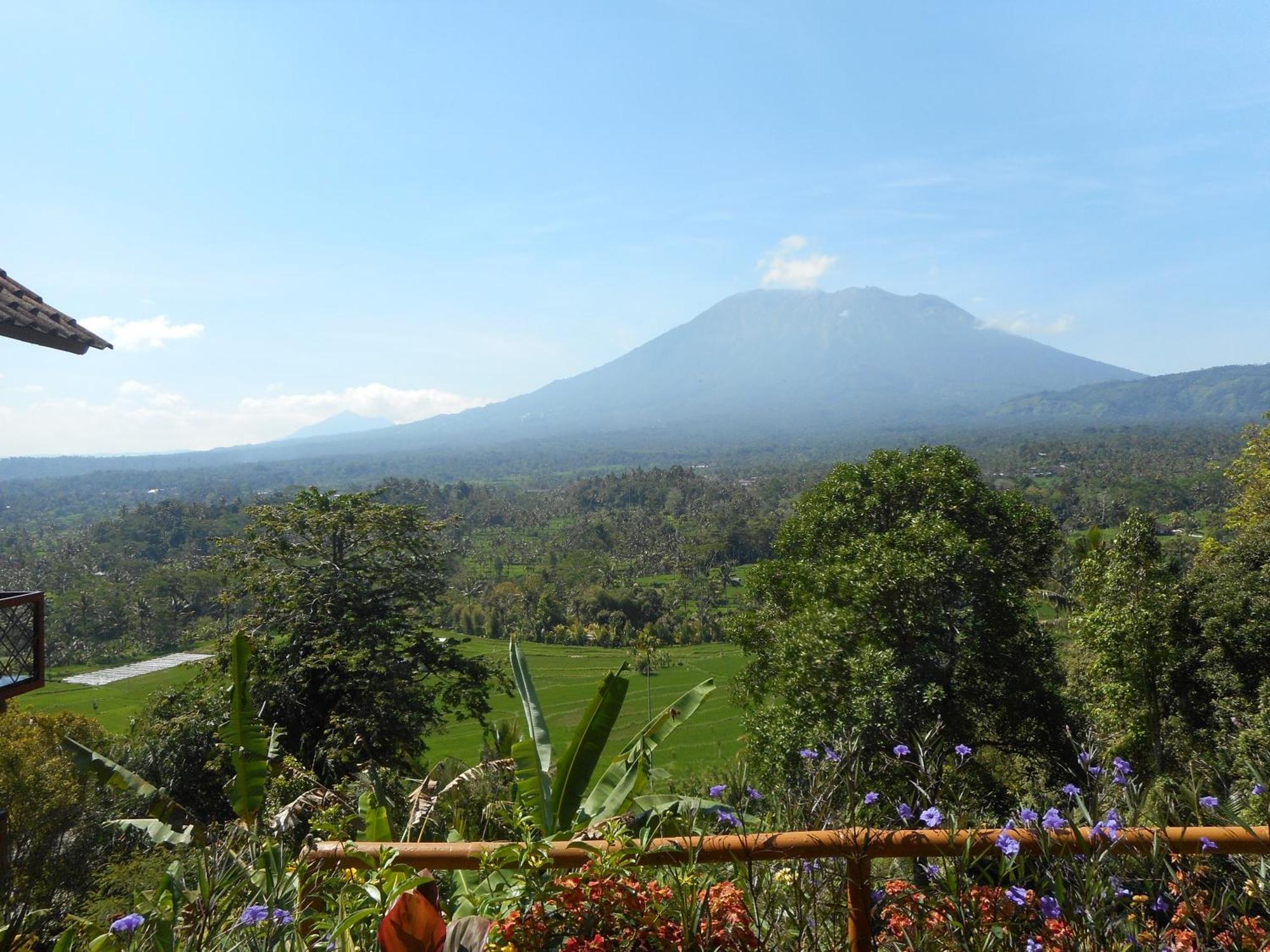 Villa Dukuh Selat Exteriér fotografie